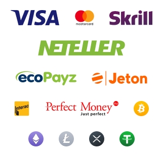Les multiples paiements disponibles chez 20bet